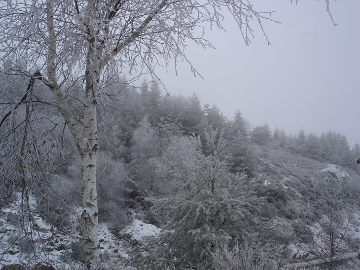 Hiver_04_© Jean-Claude Millot.jpg